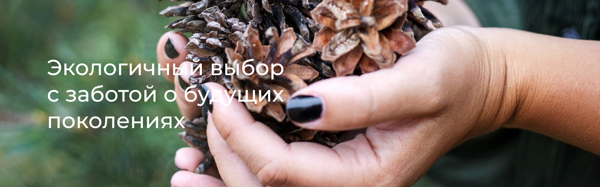 баннер1